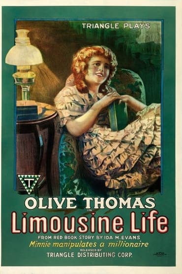 Poster image for Limousine Life