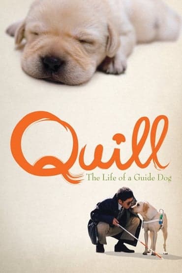 Poster image for Quill: The Life of a Guide Dog