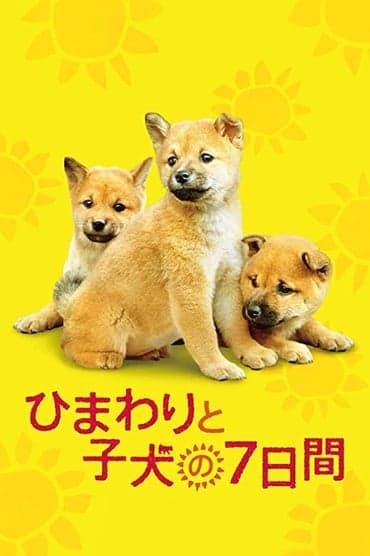 Poster image for 7 Days of Himawari & Her Puppies