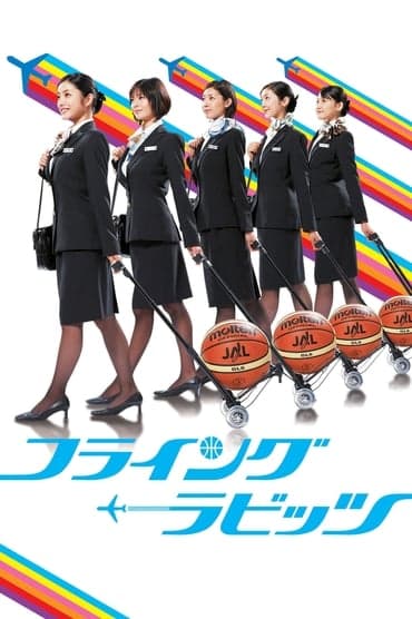 Poster image for Flying Rabbits