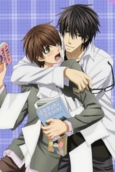 Poster image for Sekaiichi Hatsukoi: Valentine-hen