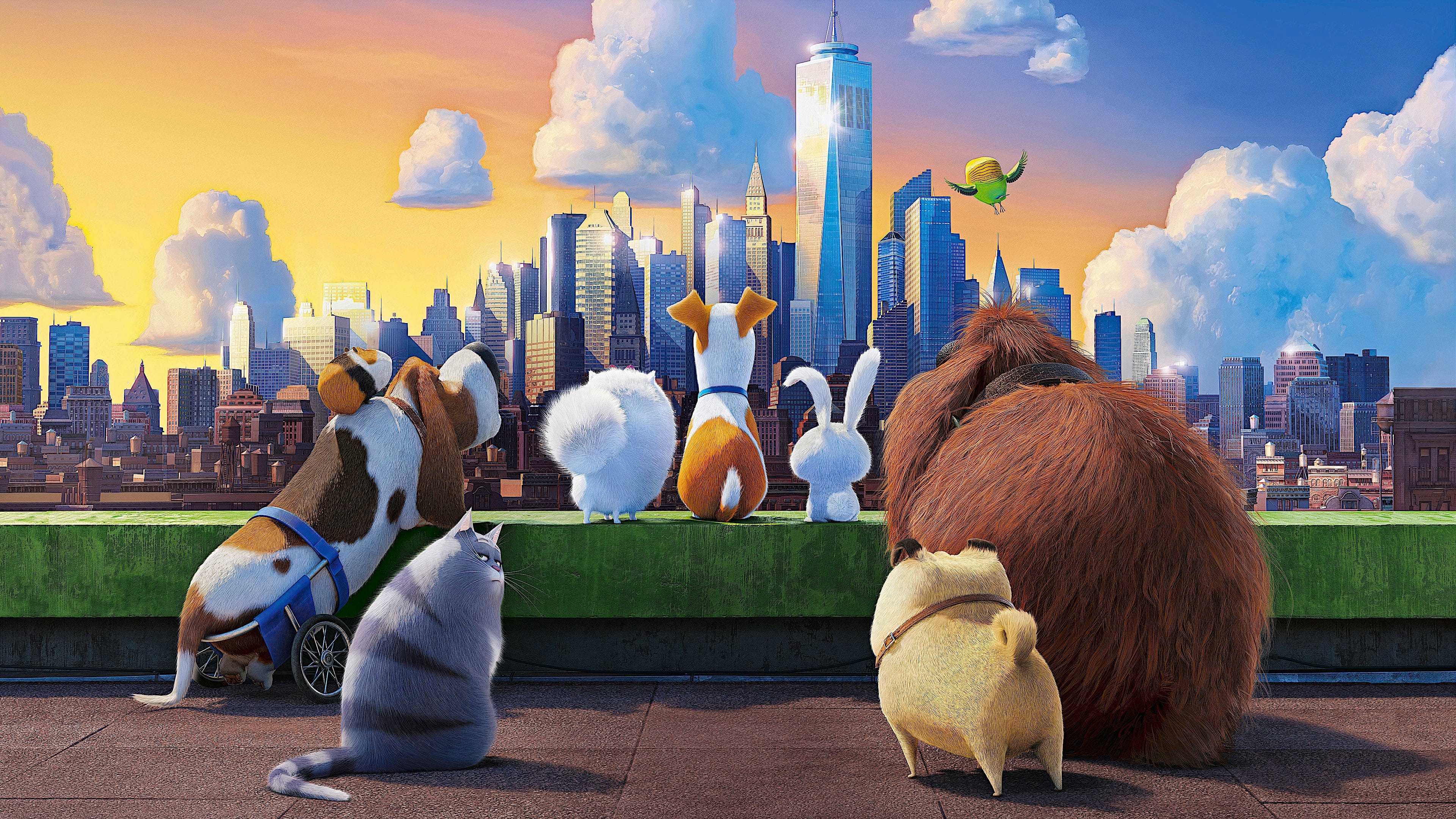 Backdrop image for The Secret Life of Pets