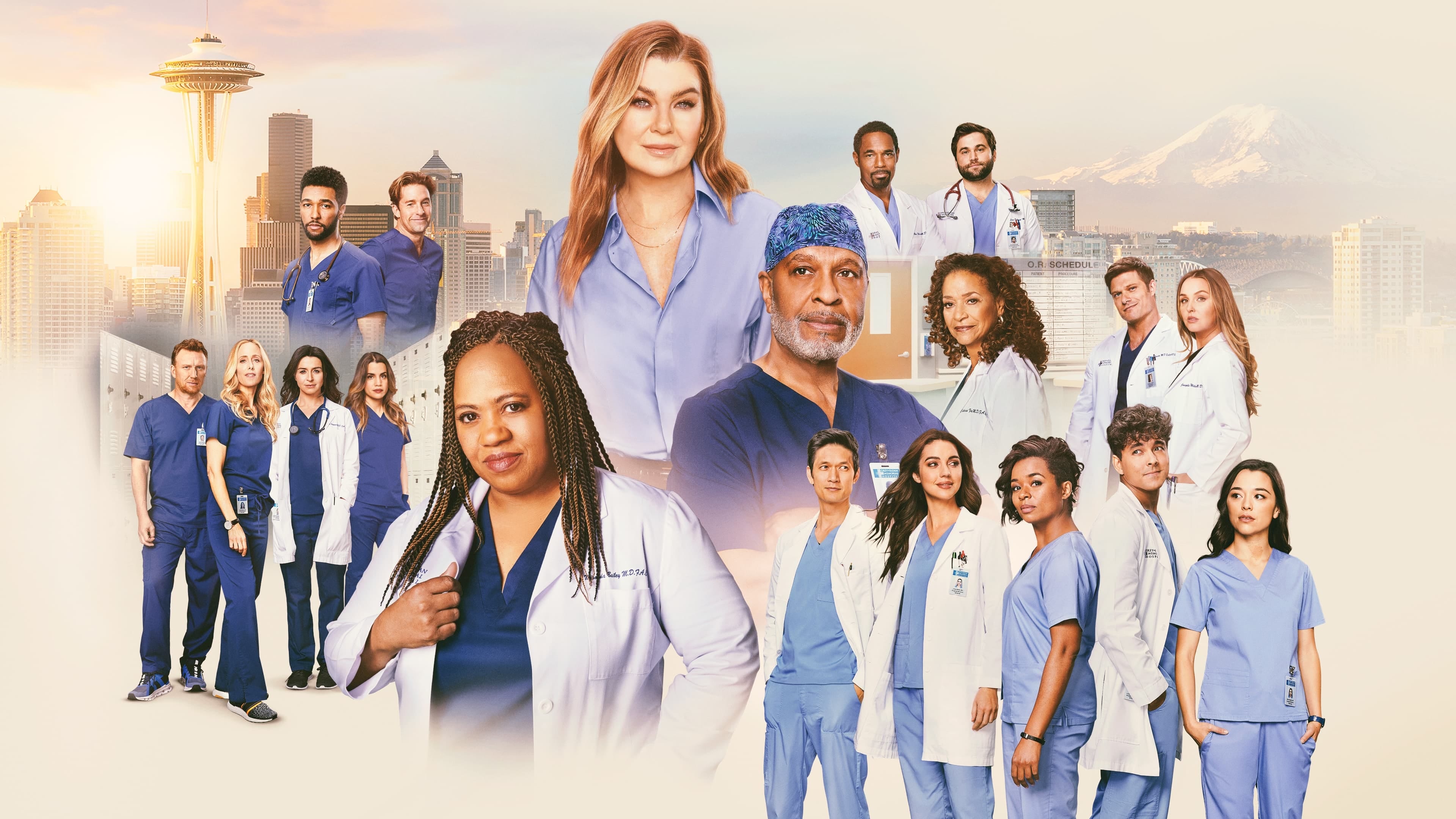 Backdrop image for Grey's Anatomy