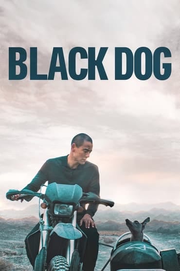 Poster image forBlack Dog