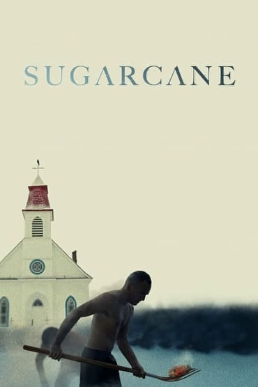 Poster image forSugarcane