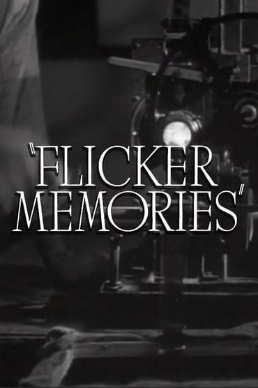 Poster image forFlicker Memories