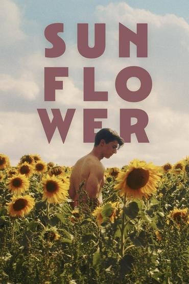 Poster image forSunflower