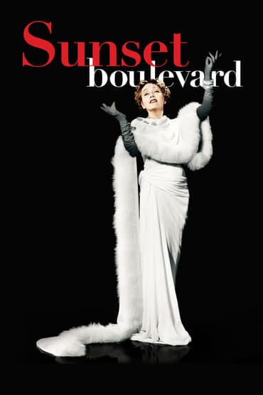 Poster image forSunset Boulevard